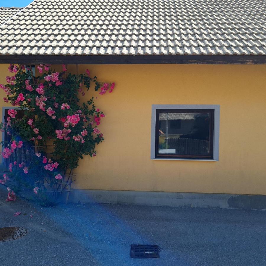 Apartma Nina Bohinj Exterior photo